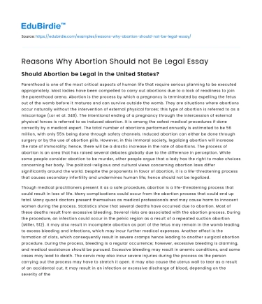 Reasons Why Abortion Should not Be Legal Essay