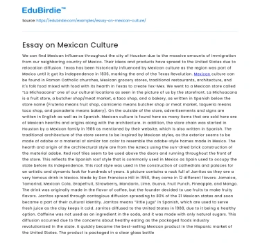 Essay on Mexican Culture