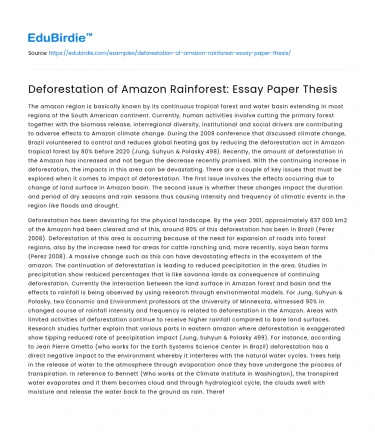 Deforestation of Amazon Rainforest: Essay Paper Thesis