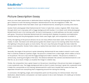 Picture Description Essay