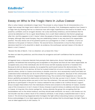 Essay on Who Is the Tragic Hero in Julius Caesar