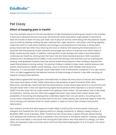 Pet Essay