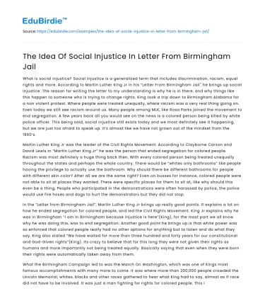 The Idea Of Social Injustice In Letter From Birmingham Jail