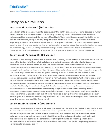 Essay on Air Pollution