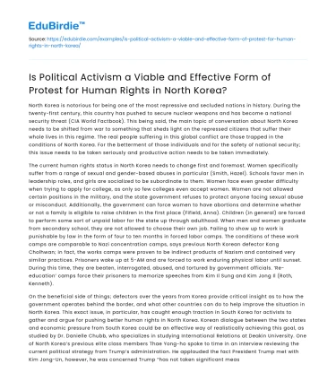 Is Political Activism Effective for Human Rights in North Korea?