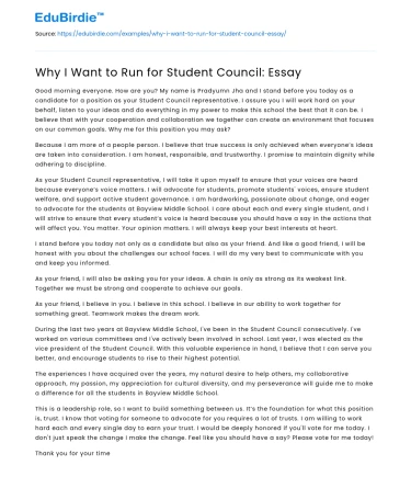 Why I Want to Run for Student Council: Essay