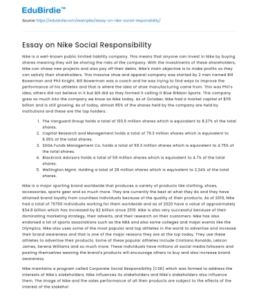 Essay on Nike Social Responsibility