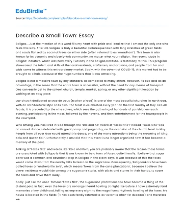 Describe a Small Town: Essay