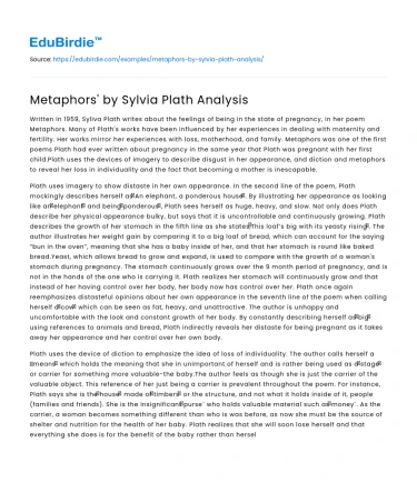 Metaphors’ by Sylvia Plath Analysis