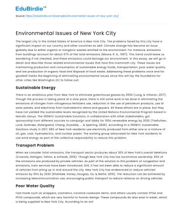Environmental Issues of New York City