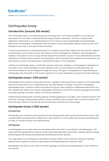 Earthquake Essay