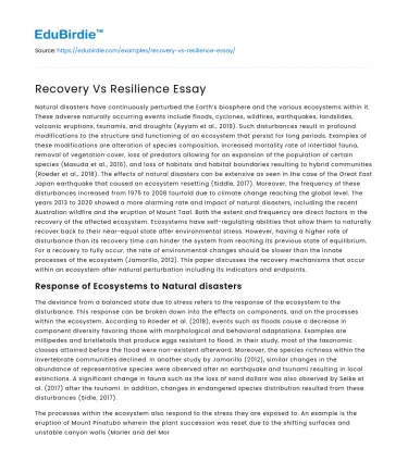 Recovery Vs Resilience Essay