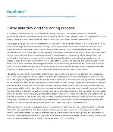 Public Illiteracy and the Voting Process