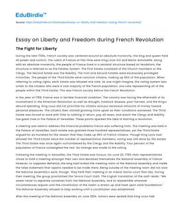Essay on Liberty and Freedom during French Revolution