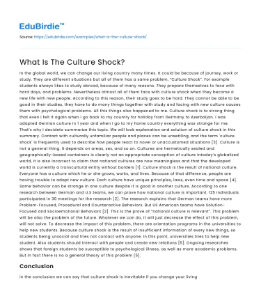 What Is The Culture Shock?