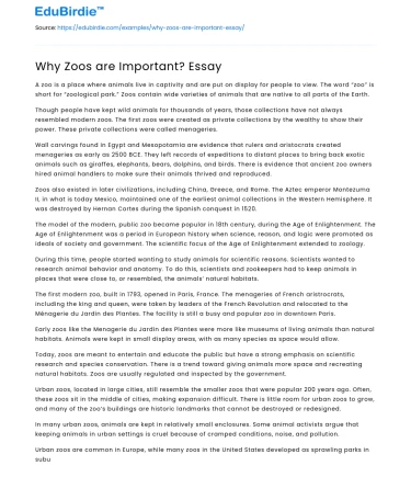 Why Zoos are Important? Essay