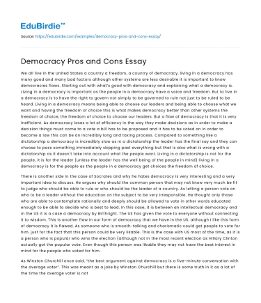 Democracy Pros and Cons Essay