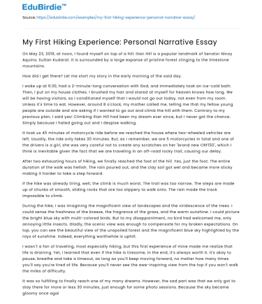 My First Hiking Experience: Personal Narrative Essay