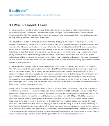 If I Was President: Essay