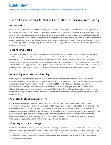 Black Lives Matter Is Not a Hate Group: Persuasive Essay