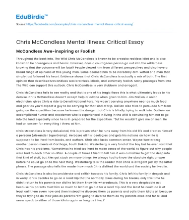 Chris McCandless Mental Illness: Critical Essay