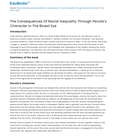 Pecola’s Role in Racial Inequality in The Bluest Eye