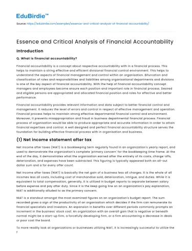 Essence and Critical Analysis of Financial Accountability