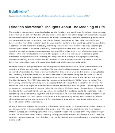 Friedrich Nietzsche’s Thoughts About The Meaning of Life