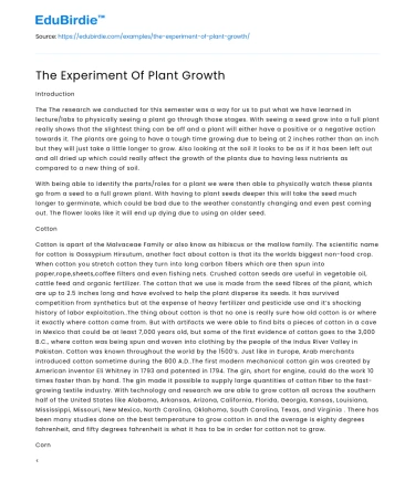 The Experiment Of Plant Growth