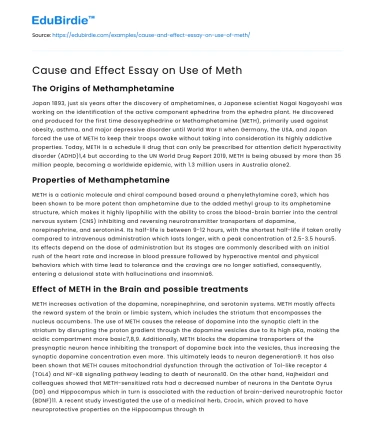 Cause and Effect Essay on Use of Meth
