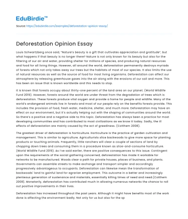 Deforestation Opinion Essay