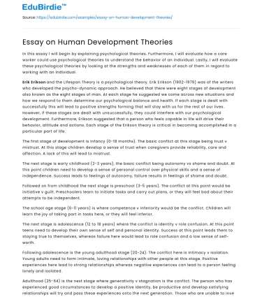 Essay on Human Development Theories