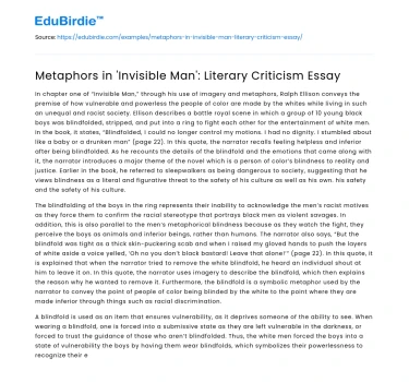 Metaphors in ‘Invisible Man’: Literary Criticism Essay