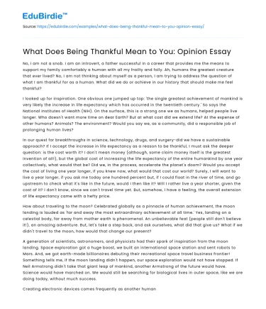 What Does Being Thankful Mean to You: Opinion Essay
