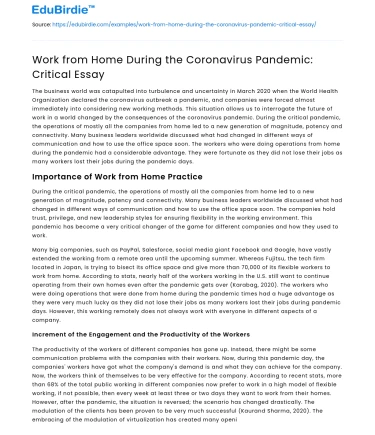 Work from Home During the Coronavirus Pandemic: Critical Essay