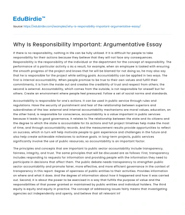 Why Is Responsibility Important: Argumentative Essay