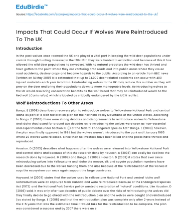 Impacts That Could Occur If Wolves Were Reintroduced To The UK