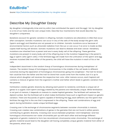 Describe My Daughter Essay