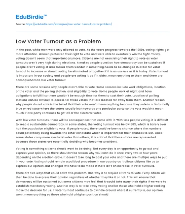 Low Voter Turnout as a Problem