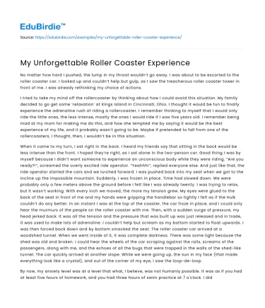 My Unforgettable Roller Coaster Experience