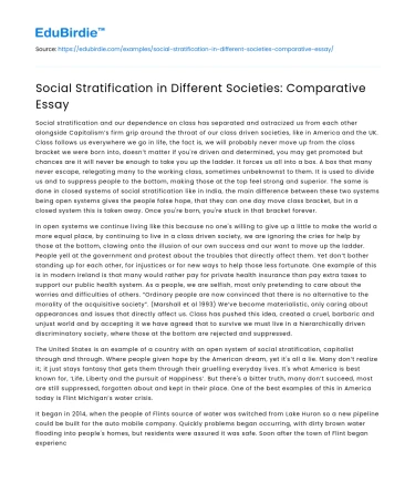 Social Stratification in Different Societies: Comparative Essay