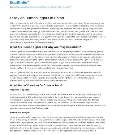 Essay on Human Rights in China