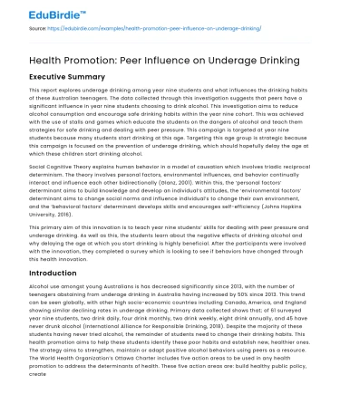 Health Promotion: Peer Influence on Underage Drinking