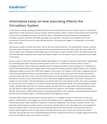 Informative Essay on How Exercising Affects the Circulatory System