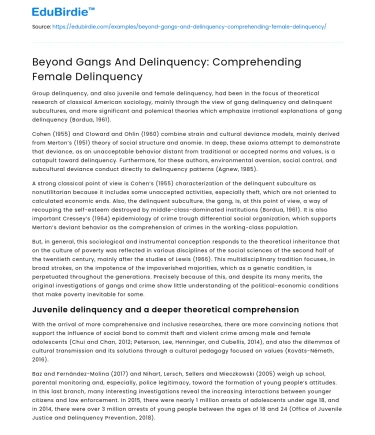 Beyond Gangs And Delinquency: Comprehending Female Delinquency