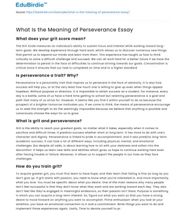 What Is the Meaning of Perseverance