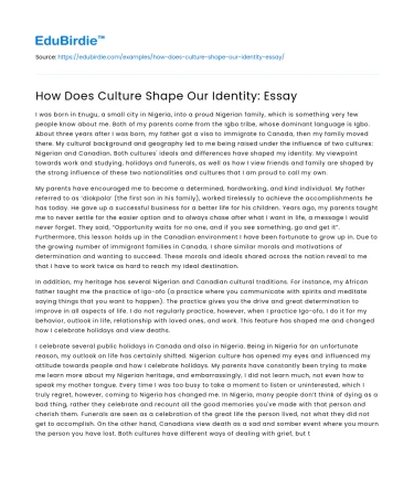 How Does Culture Shape Our Identity: Essay