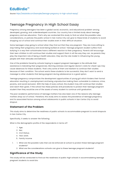 Teenage Pregnancy in High School Essay