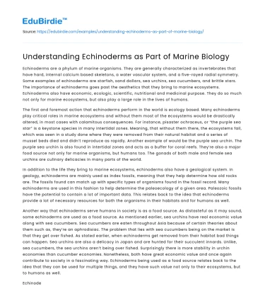 Understanding Echinoderms as Part of Marine Biology