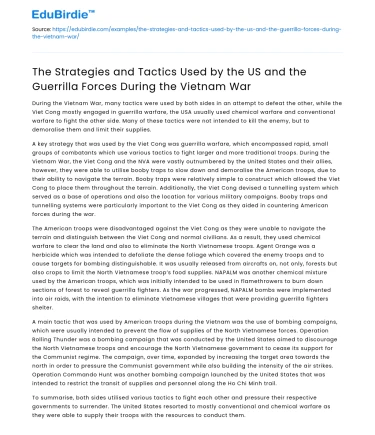 Vietnam War: Tactics and Strategies